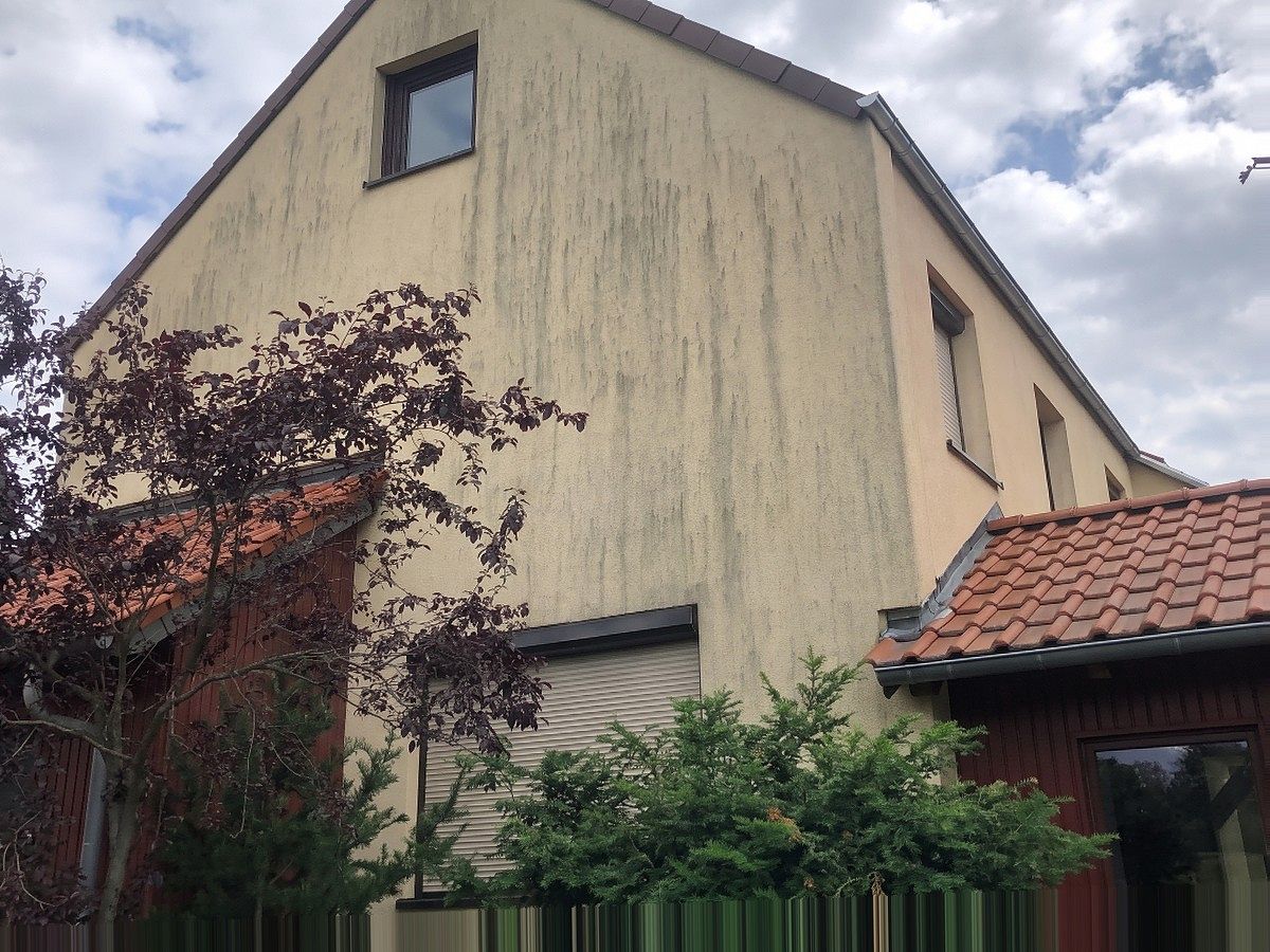 Giebelhaus, Putz großflächig vergraut, vor der Reinigung.