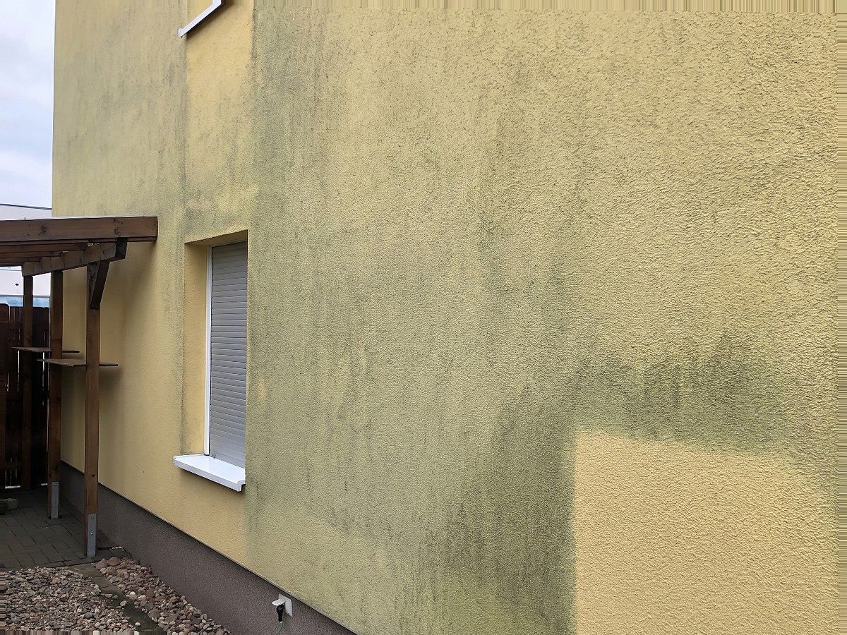 Hauswand mit Grünbelag und angelegter Probefläche, vor der Reinigung.
