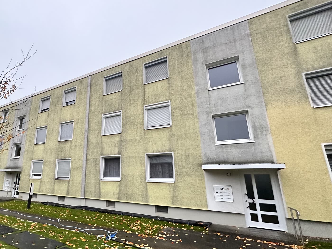 Mehrfamilienhaus mit gelbem Putz, großflächig veralgt und vergraut, vor der Reinigung.